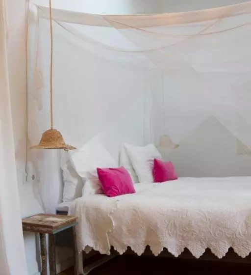 Home Hotel The Pink Pepper Tree