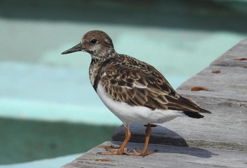 호텔 Villa De Pescadores