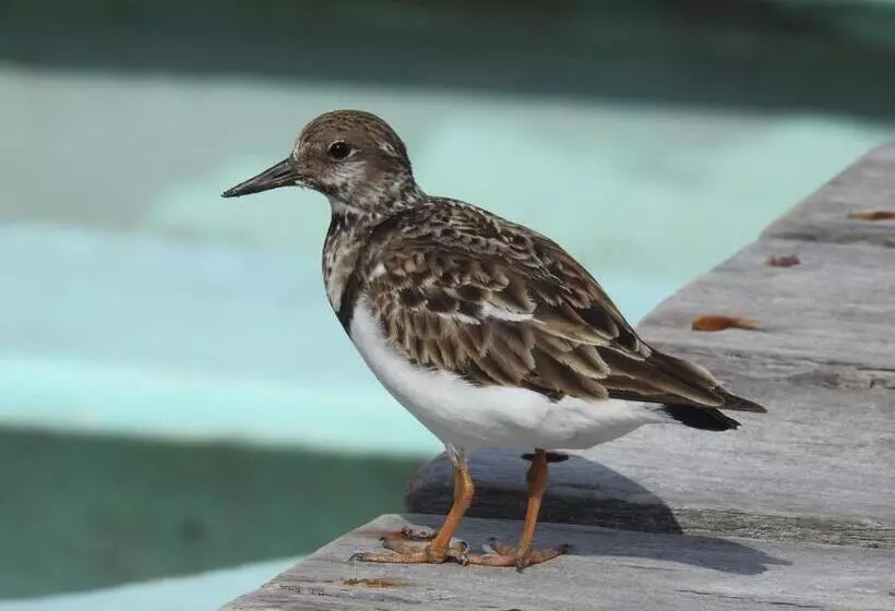 호텔 Villa De Pescadores