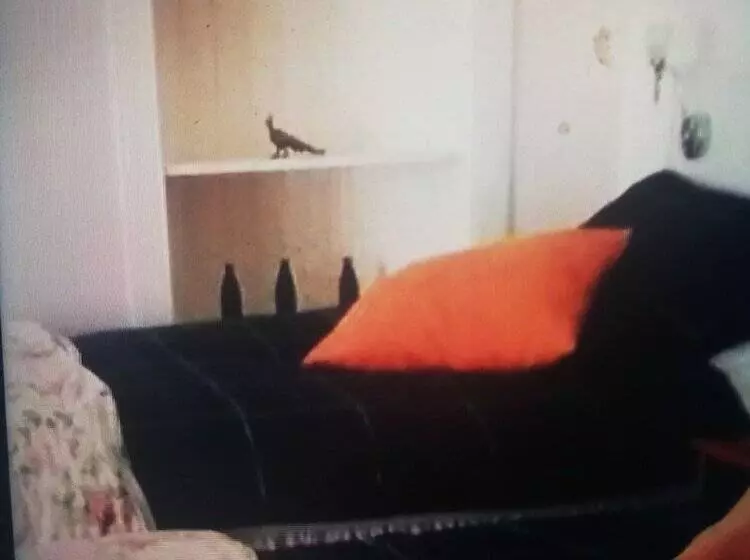 بنسيون Inchbae Lodge