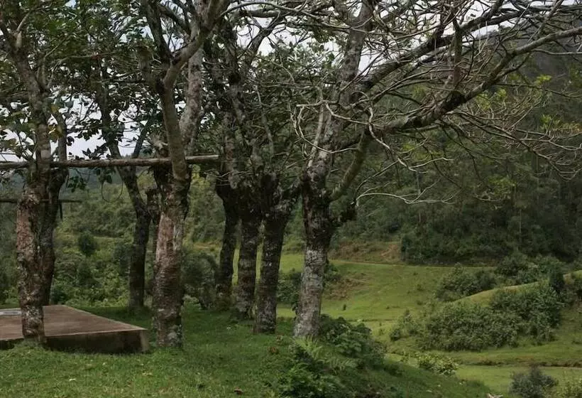 Wild Elephant Eco Friendly Resort