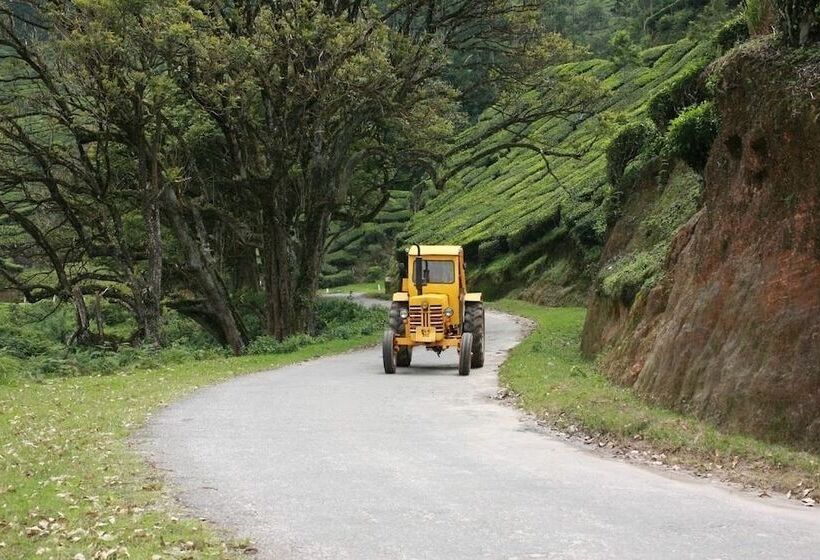 Wild Elephant Eco Friendly Resort