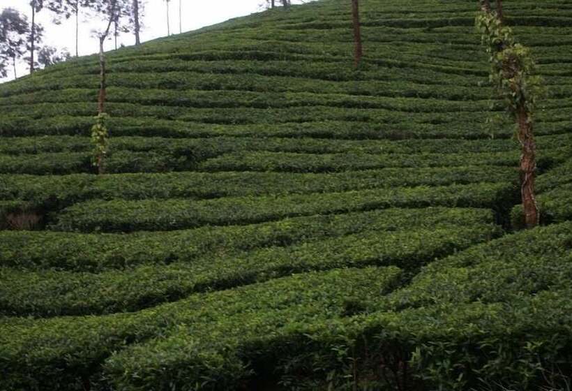 Wild Elephant Eco Friendly Resort