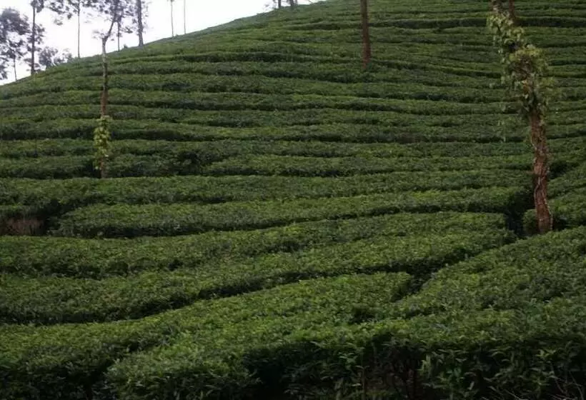 Wild Elephant Eco Friendly Resort