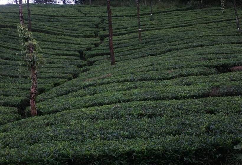 Wild Elephant Eco Friendly Resort