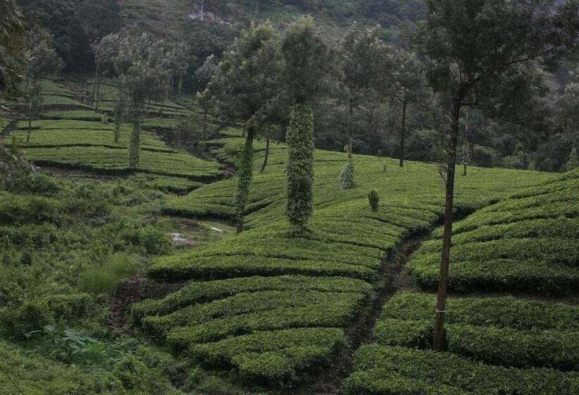 Wild Elephant Eco Friendly Resort