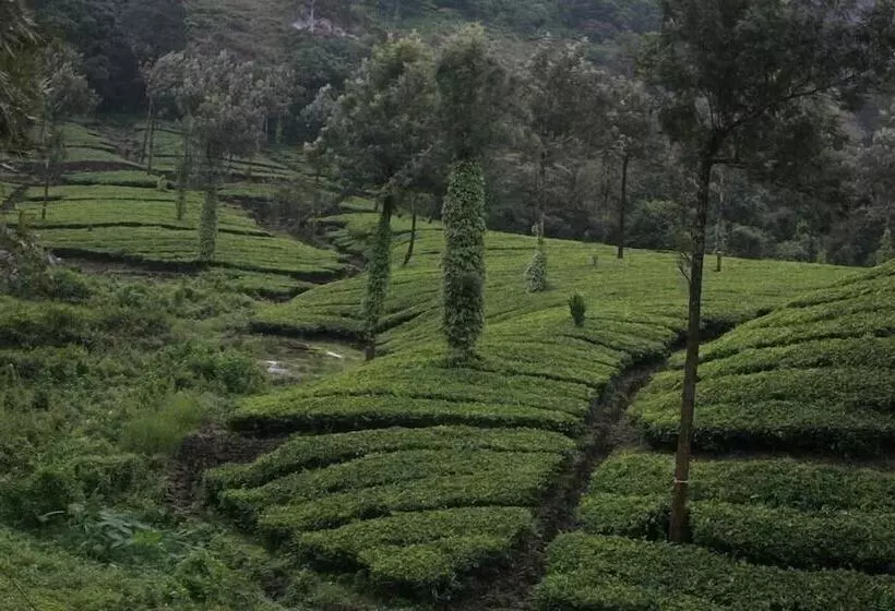 Wild Elephant Eco Friendly Resort