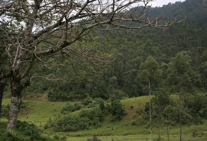 Wild Elephant Eco Friendly Resort