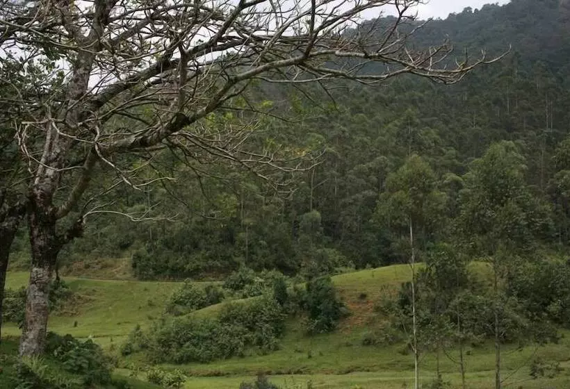 Wild Elephant Eco Friendly Resort