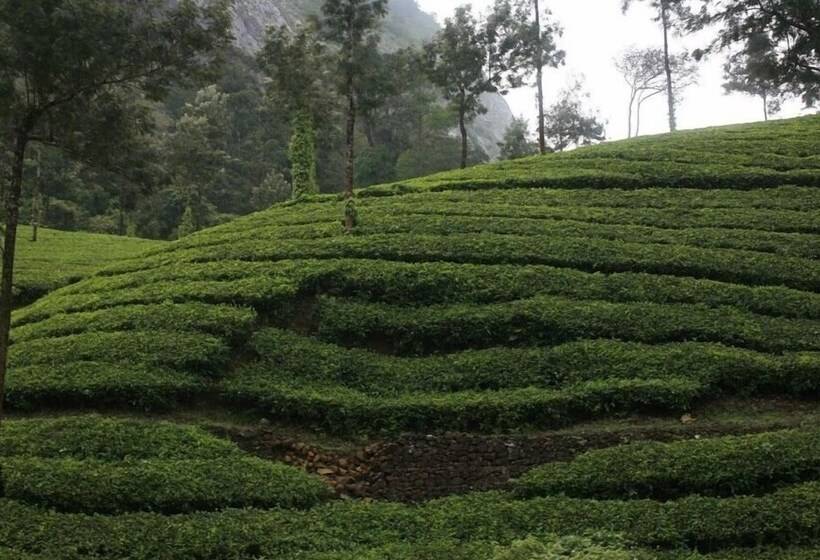 Wild Elephant Eco Friendly Resort