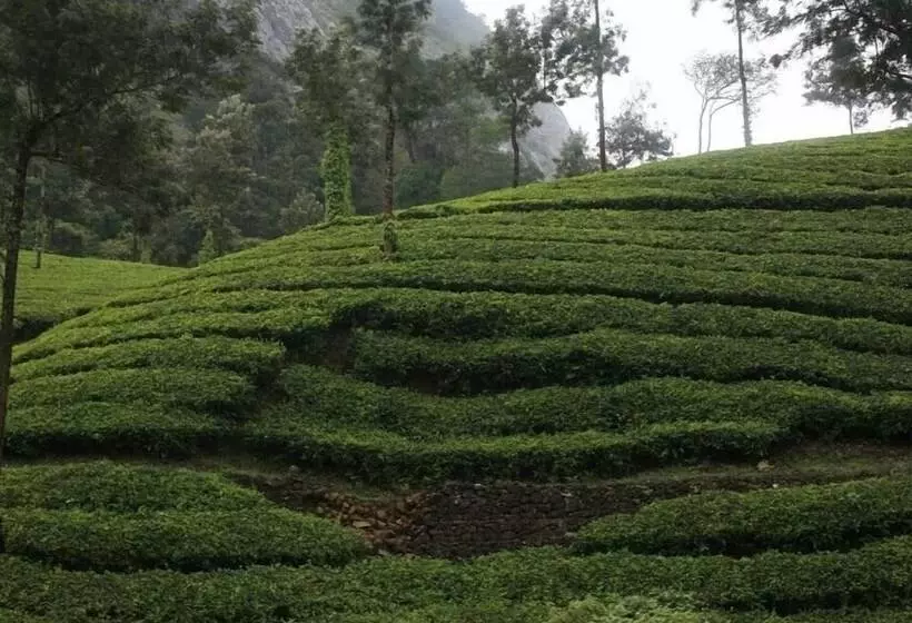 Wild Elephant Eco Friendly Resort