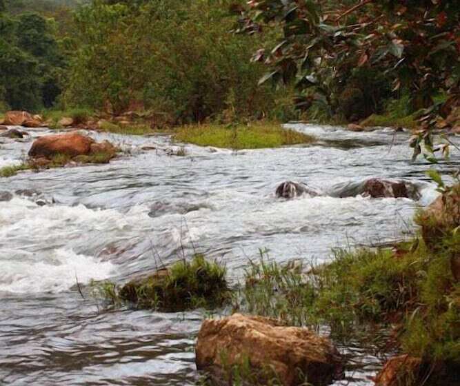 Wild Elephant Eco Friendly Resort