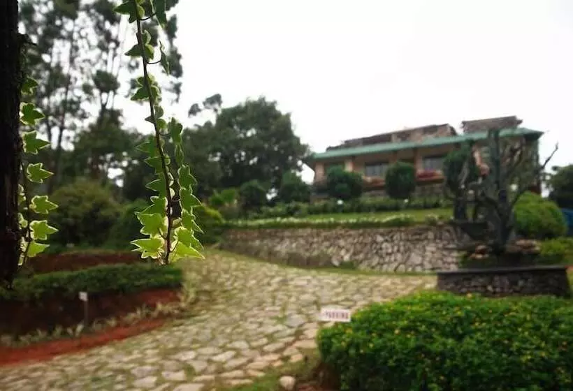 Wild Elephant Eco Friendly Resort