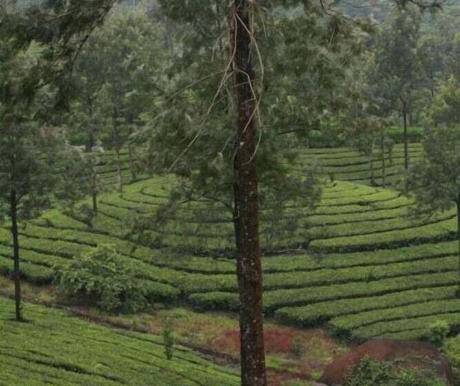 Wild Elephant Eco Friendly Resort