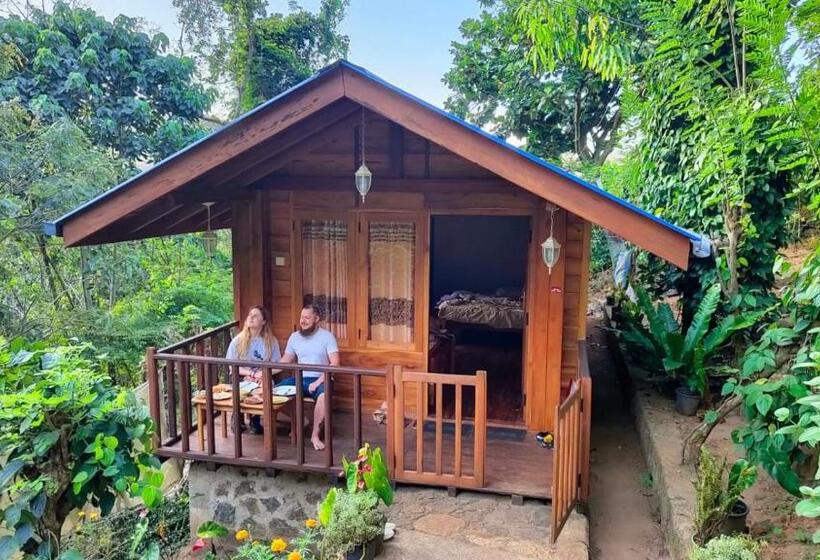Hotel Diyaluma View Cotage