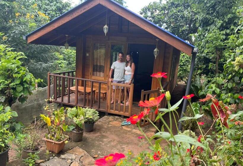 Hotel Diyaluma View Cotage