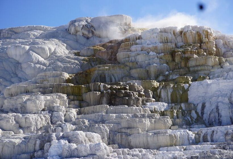 فندق Wagon Wheel