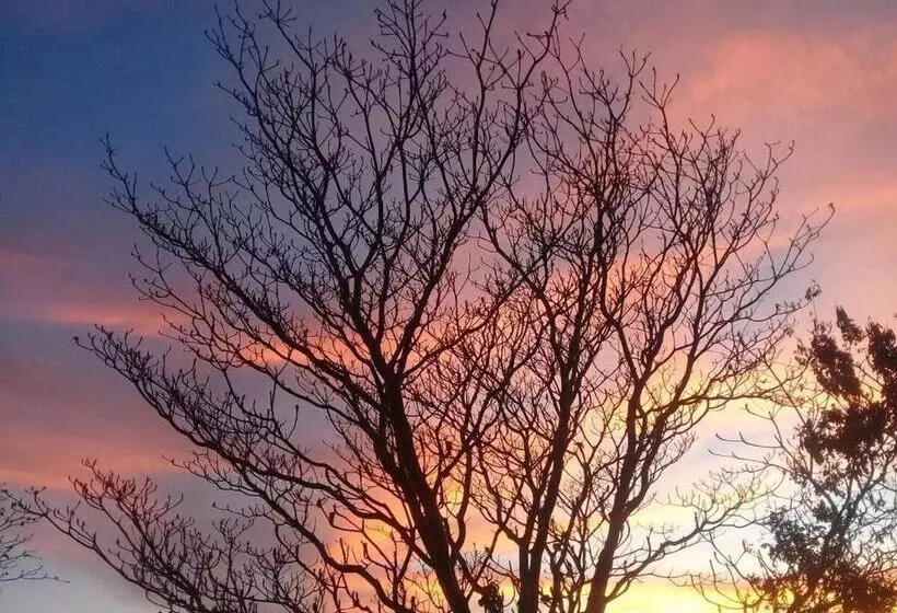 Lomakeskus Centro Sati Bungalow