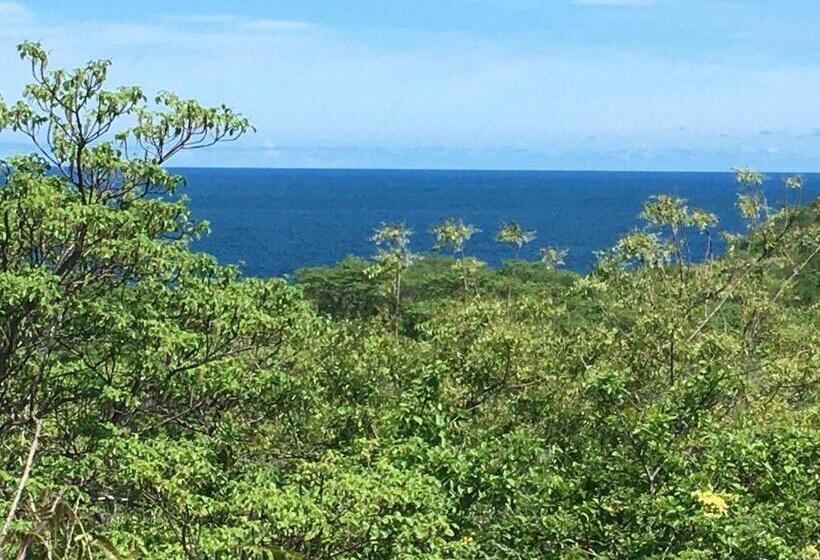 渡假胜地  Centro Sati Bungalow