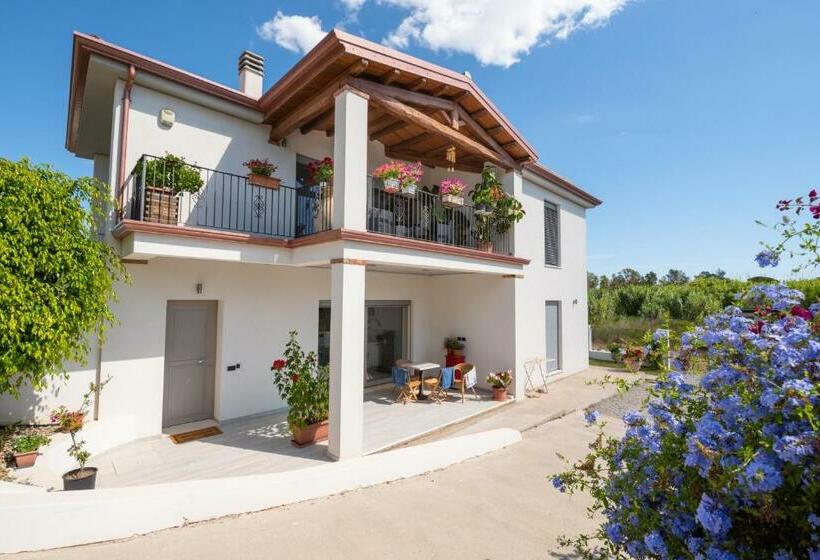 住宿加早餐 Giglio Marino