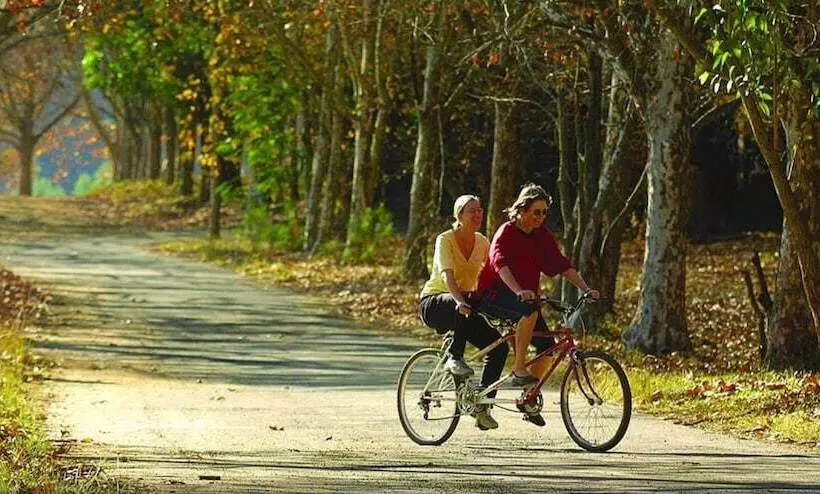 هتل The Foresters Arms