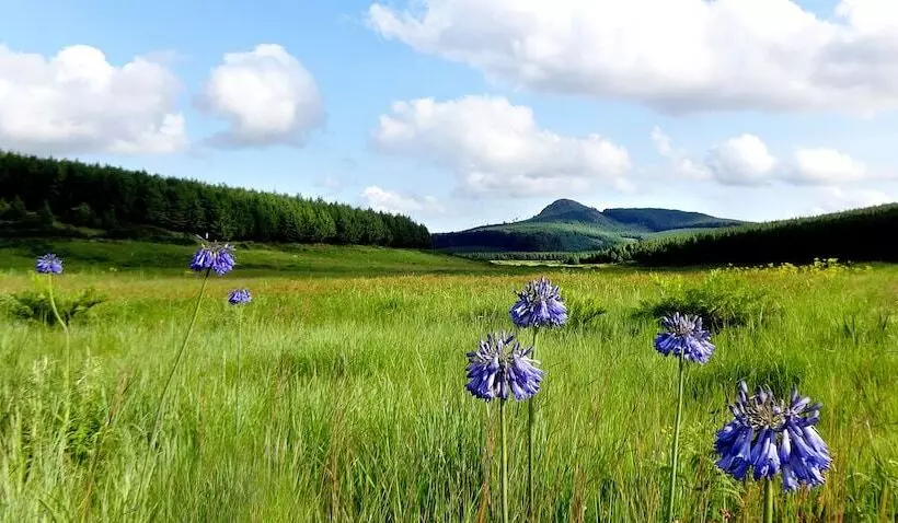 هتل The Foresters Arms