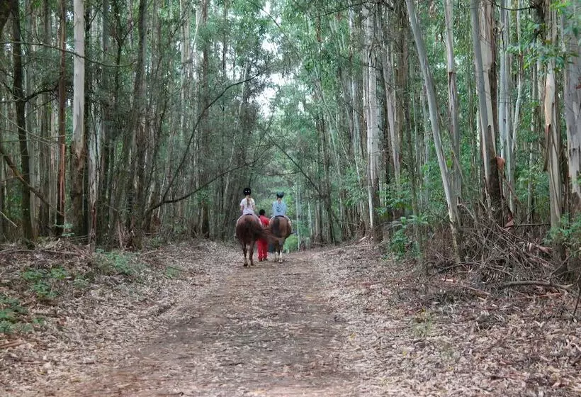 هتل The Foresters Arms