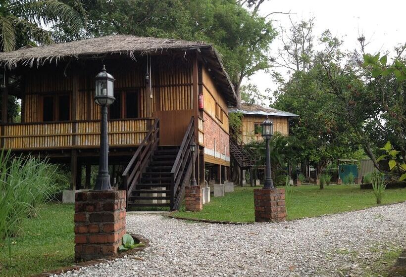 ホテル The Roots Eco Resort