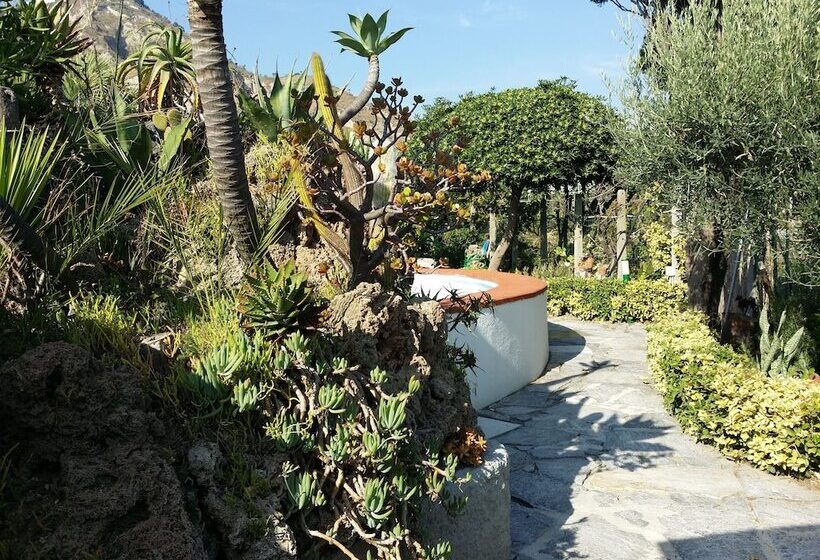 Отель Villa Sirena