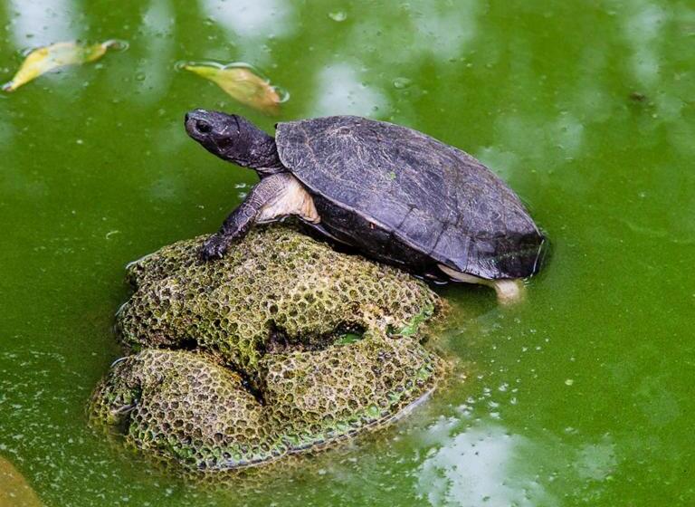 בית מלון כפרי Ypsylon Tourist Resort