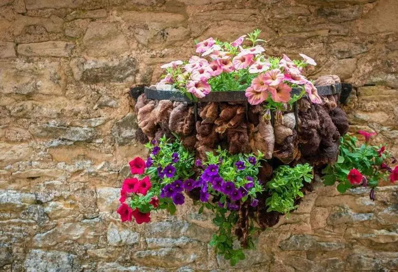 צימר High Paradise Farm