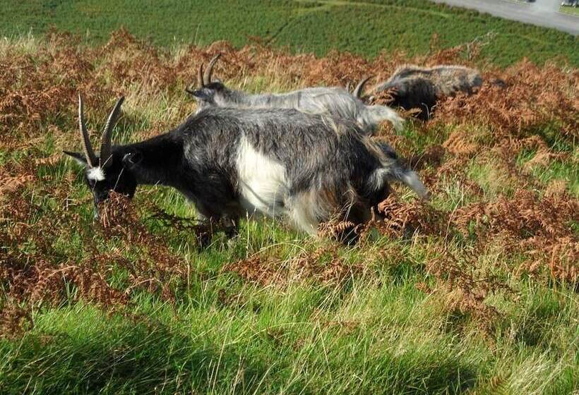 Bed and Breakfast St Vincent Guest House