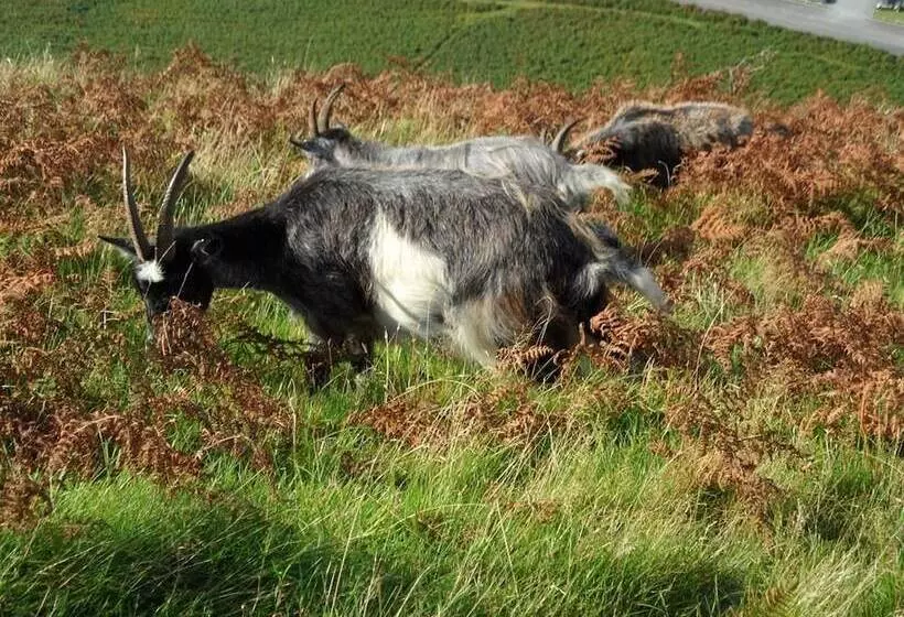 민박 St Vincent Guest House