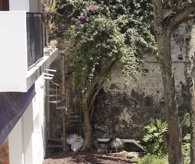 فندق فئة نجمة واحدة Catre De Mi Corazón