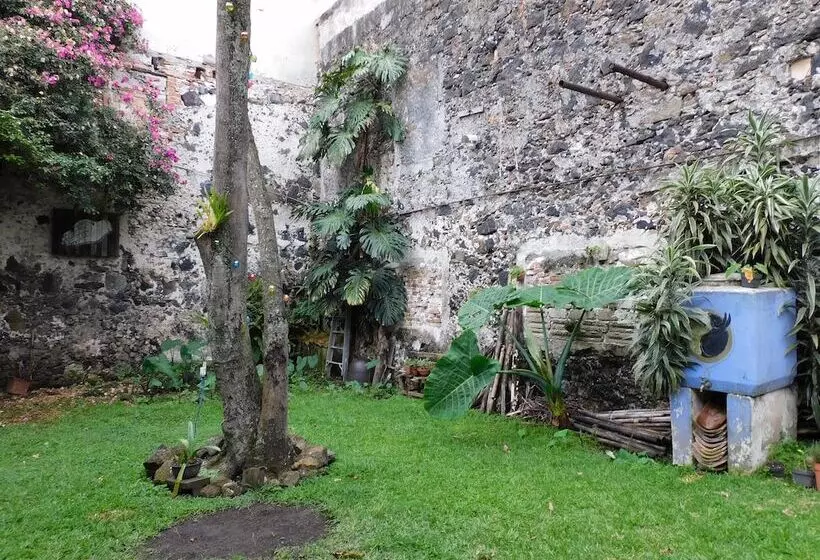 فندق فئة نجمة واحدة Catre De Mi Corazón