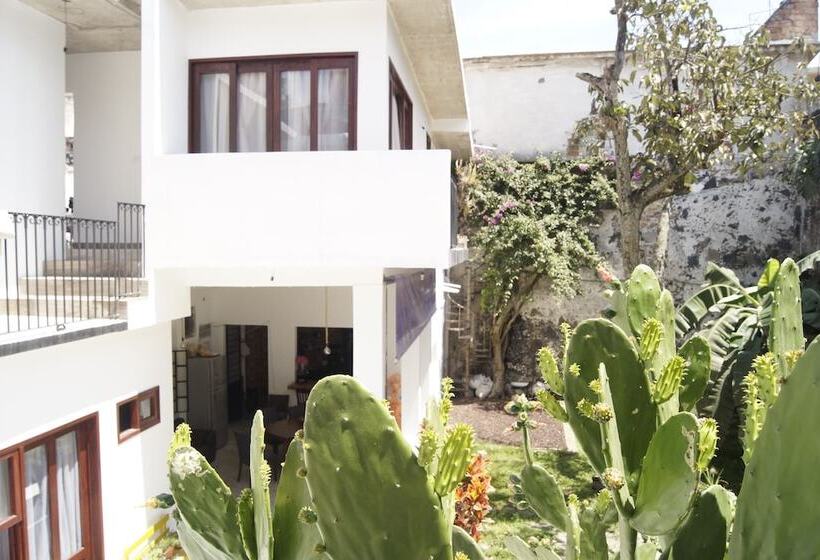 فندق فئة نجمة واحدة Catre De Mi Corazón