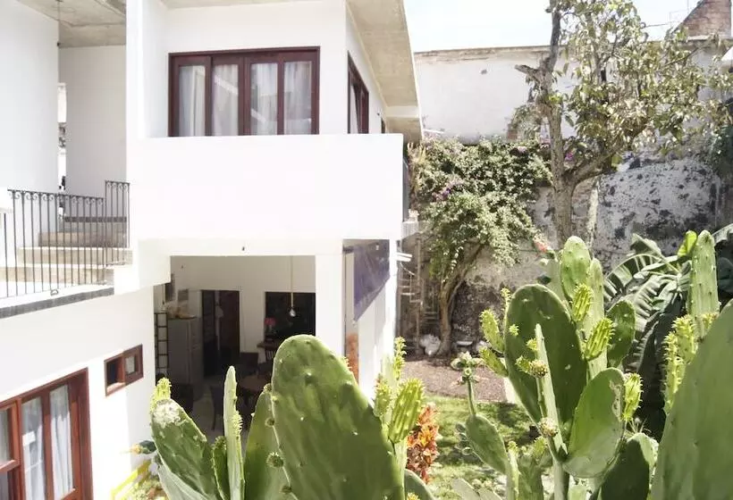 فندق فئة نجمة واحدة Catre De Mi Corazón