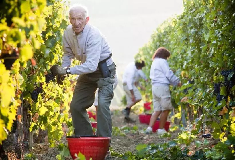 هتل Borgo Conde Wine Resort