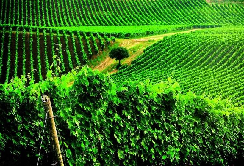 فندق Borgo Conde Wine Resort