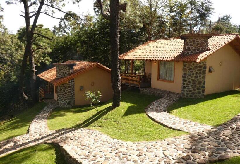 فندق Bosque Escondido