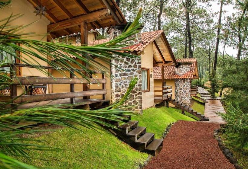 فندق Bosque Escondido