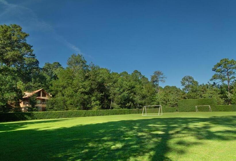 فندق Bosque Escondido