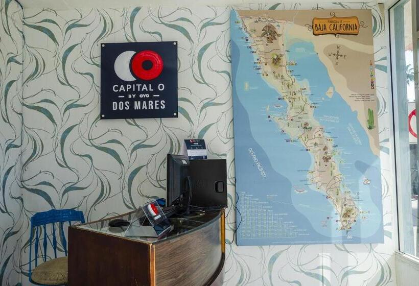 Capital O Hotel Dos Mares, Cabo San Lucas