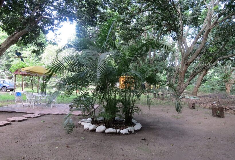 ホテル Casa De Agua Eco