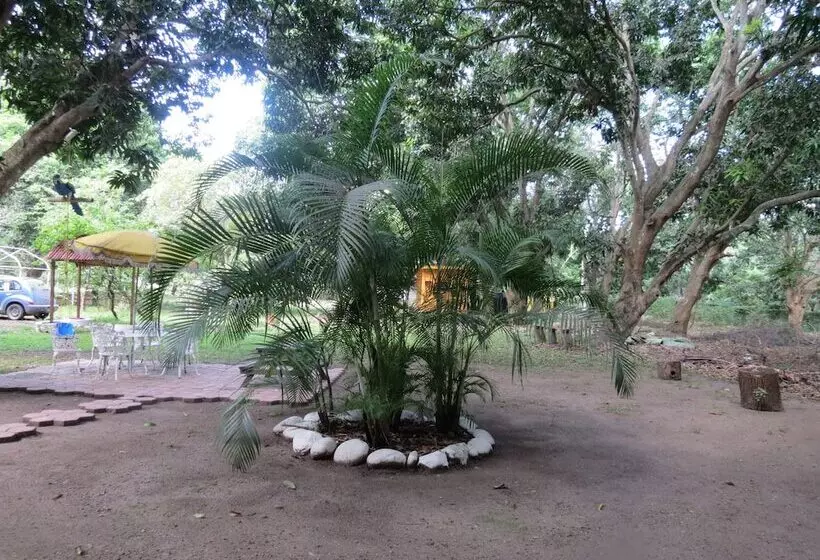 Отель Casa De Agua Eco