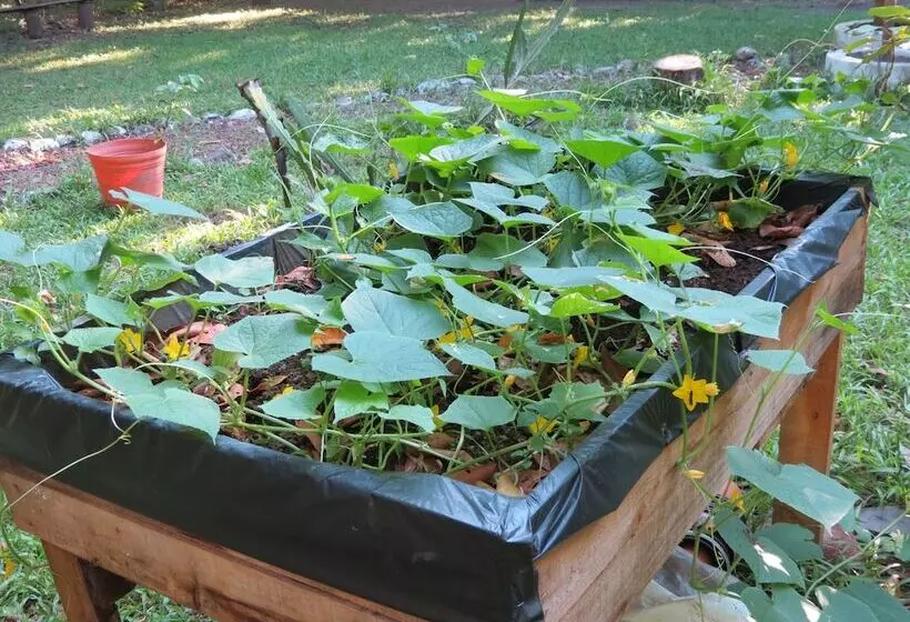 Отель Casa De Agua Eco