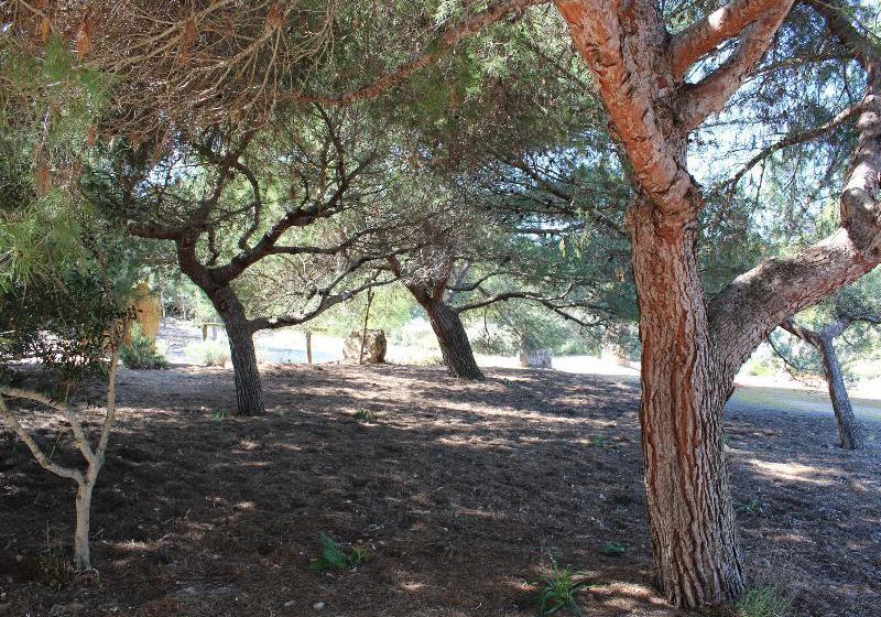 فندق Casitas de Pescadores