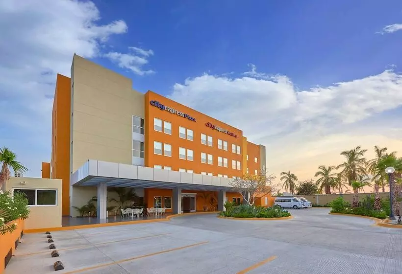 Hotel City Express Plus By Marriott Cabo San Lucas