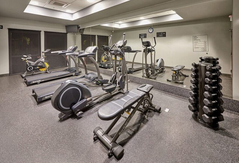 Szálloda City Express Plus By Marriott Cabo San Lucas