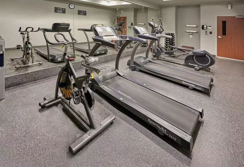 Hotel City Express Plus By Marriott Cabo San Lucas